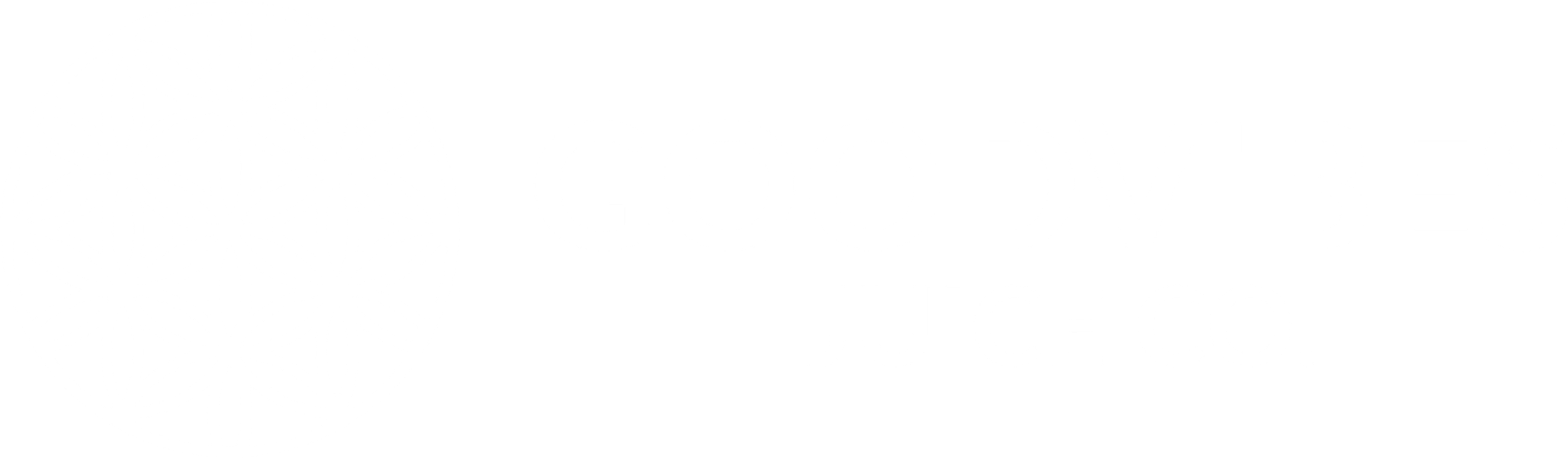 GOODVIBES JUICE CO.